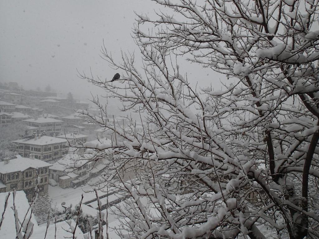 Efe Guest House Safranbolu Exterior foto